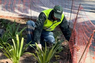 WhatsApp Image 2026-04-01 at 16.03.43 (2).jpeg